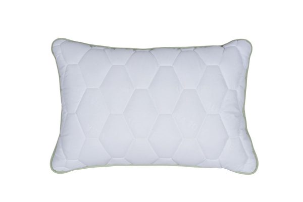 aloe vera memory pillow product
